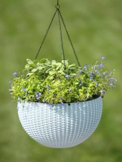 Weave Self-Watering Hanging Basket, 14" -US Organic Seed Sales Store 8596490 10307 tif