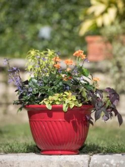 Mazzano Self-Watering Planters -US Organic Seed Sales Store 8596564 4883 tif