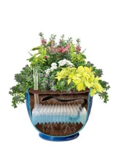 Mazzano Self-Watering Planters -US Organic Seed Sales Store 8596570 SWMazzano19 Blue art tif