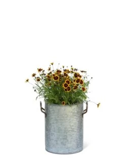 Galvanized Rim Planters -US Organic Seed Sales Store 8597442 1705 tif