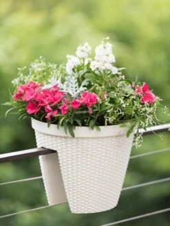 Weave Round Railing Planter, 11" -US Organic Seed Sales Store 8598370 8580 tif