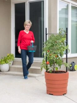 Gardener’s Victory Self-Watering Planter With Support System -US Organic Seed Sales Store 8598384 6011 tif