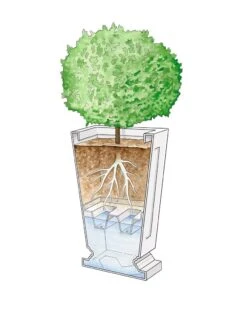 Kensington Self-Watering Tall Patio Planter, 25" 10 Kensington Self-Watering Tall Patio Planter, 25" -US Organic Seed Sales Store 8598549 0001 art tif