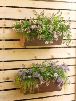 Corten Steel Vertical Planter -US Organic Seed Sales Store 8599058 0772 tif