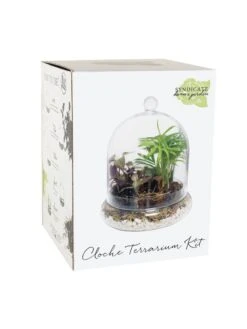 Cloche Terrarium Kit Medium -US Organic Seed Sales Store 8599148 01v