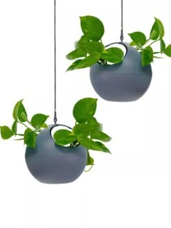 Exaco Euro Hanging Planters, Set Of 2 -US Organic Seed Sales Store 8599179 04V tif