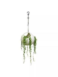 Exaco Euro Hanging Planters, Set Of 2 -US Organic Seed Sales Store 8599179 06V tif