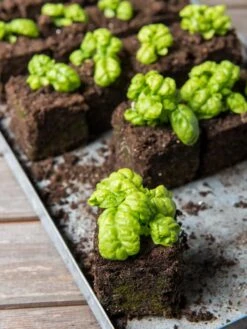 Soil Blocker, 4 Cell -US Organic Seed Sales Store 8599790 1057 tif