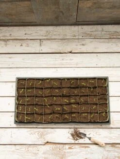 Paper Pots, 50 Cell -US Organic Seed Sales Store 8599830 18489 tif