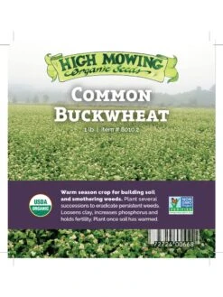 Common Buckwheat Organic Seeds -US Organic Seed Sales Store 8599871 04v