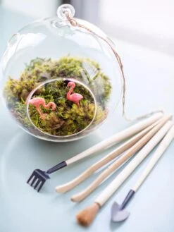 Terrarium Tools, Set Of 4 -US Organic Seed Sales Store 8599884 01V tif