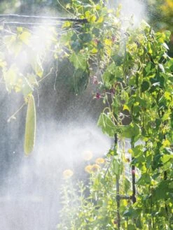 Landscape 4-Way Cooling Mist Kit, 50' -US Organic Seed Sales Store 8600154 0662 tif