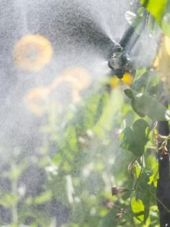 Landscape 4-Way Cooling Mist Kit, 50' -US Organic Seed Sales Store 8600154 0695 tif