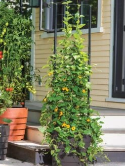 Gardener’s Victory Self-Watering Planter With Vine Trellis -US Organic Seed Sales Store 8600174 0100 tif