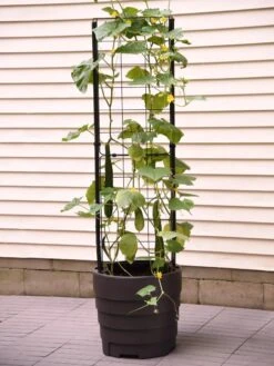 Gardener’s Victory Self-Watering Planter With Vine Trellis -US Organic Seed Sales Store 8600177 9876 tif