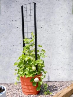 Gardener’s Victory Self-Watering Planter Garden With Vine Trellis -US Organic Seed Sales Store 8600178 05487 tif