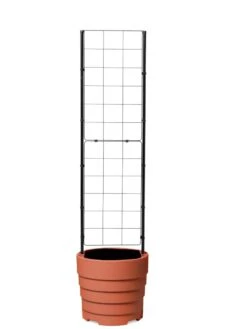 Gardener’s Victory Self-Watering Planter With Vine Trellis -US Organic Seed Sales Store 8600178 7000 tif