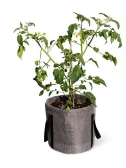 Reinforced Colorful Grow Bags -US Organic Seed Sales Store 8600229 0944 tif