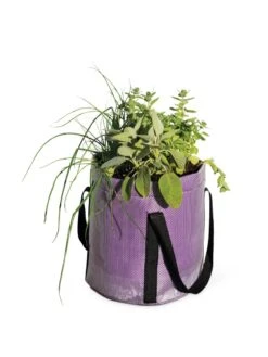 Reinforced Colorful Grow Bags -US Organic Seed Sales Store 8600230 0948 tif