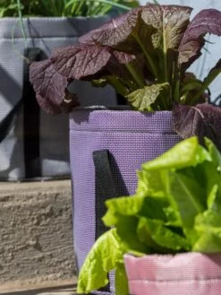 Reinforced Colorful Grow Bags -US Organic Seed Sales Store 8600230 20013 tif