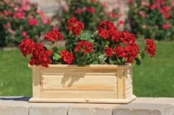 Savannah Window Boxes -US Organic Seed Sales Store 8600461 04V tif