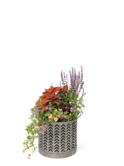Galvanized Grow Bag Planter 12" 7 Galvanized Grow Bag Planter 12" -US Organic Seed Sales Store 8609177 0368 tif