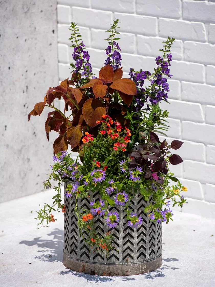 Galvanized Grow Bag Planter 12" 1 Galvanized Grow Bag Planter 12"