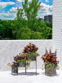 Galvanized Grow Bag Triple Planters With Stand -US Organic Seed Sales Store 8609180 0344 tif