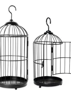 Hanging Birdcage Planter Set -US Organic Seed Sales Store 8609181 02V tif