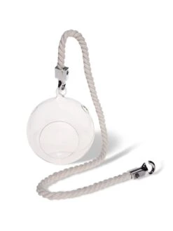 Mini Blown-Glass Hanging Terrarium, Set Of 2 -US Organic Seed Sales Store 8609218 4734