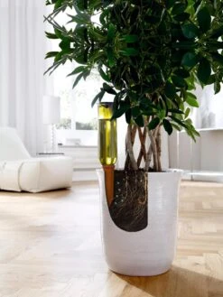 Hydro Wine Container Watering System, Set Of 4 -US Organic Seed Sales Store 8609224 04V tif