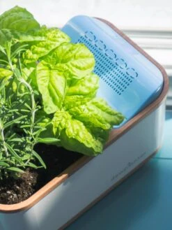 Dewplanter -US Organic Seed Sales Store 8609512 04V