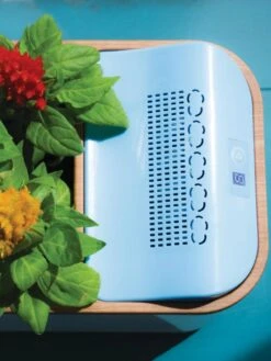 Dewplanter -US Organic Seed Sales Store 8609512 Dewplanter