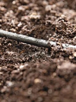 Raised Bed Drip Line Irrigation Kit 12 Raised Bed Drip Line Irrigation Kit -US Organic Seed Sales Store 8610231 8478 tif