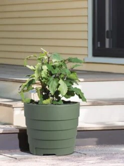Gardener’s Victory Self-Watering Patio Planter -US Organic Seed Sales Store 8610236 015143 tif