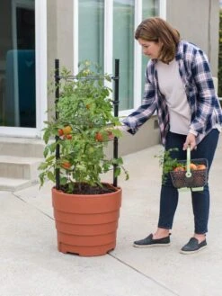 Gardener’s Victory Self-Watering Planter Garden Kit -US Organic Seed Sales Store 8610239 06002 tif