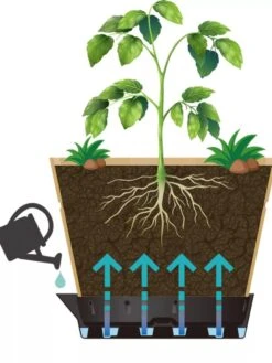 VegTrug® Build-a-Barrel Wooden Planter With Self-Watering Reservoir Tray, 18" -US Organic Seed Sales Store 8610253 05V tif