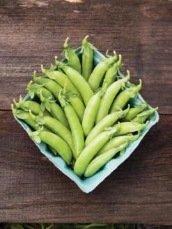 Family Garden Organic Seed Collection, Set Of 7 -US Organic Seed Sales Store 8610262 cascadia peas 01V tif