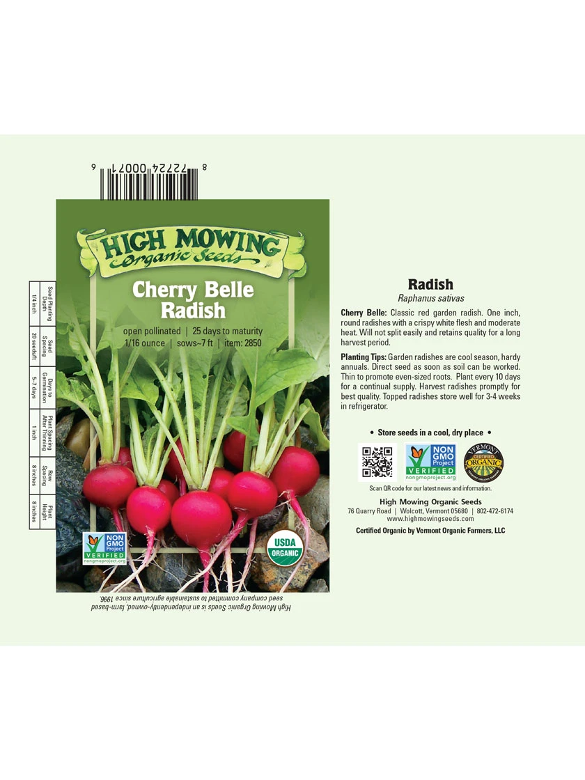 Cherry Belle Radish Organic Seeds 3 Cherry Belle Radish Organic Seeds - Image 3