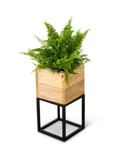 Tartu Elevated Square Planters -US Organic Seed Sales Store 8611004 038