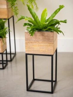Tartu Elevated Square Planters -US Organic Seed Sales Store 8611005 035