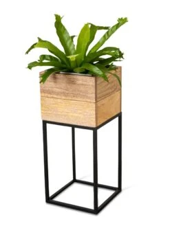 Tartu Elevated Square Planters -US Organic Seed Sales Store 8611005 036