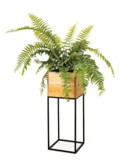 Tartu Elevated Square Planters -US Organic Seed Sales Store 8611006 033