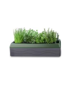 Provence Self-Watering Herb Planter -US Organic Seed Sales Store 8611965 03V tif
