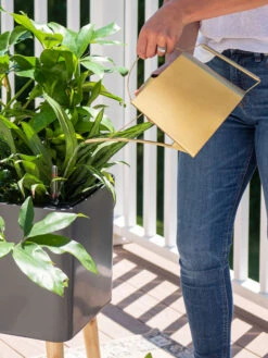 Precision Brass Watering Can -US Organic Seed Sales Store 8612691 0011 1