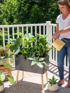 Ava Self-Watering Rectangular Planter -US Organic Seed Sales Store 8612691 0011