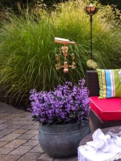 Sonoma Hose Pot 6 Sonoma Hose Pot -US Organic Seed Sales Store 8612733 02V tif