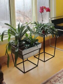 Achla Designs Arne Plant Stand -US Organic Seed Sales Store 8612899 02v