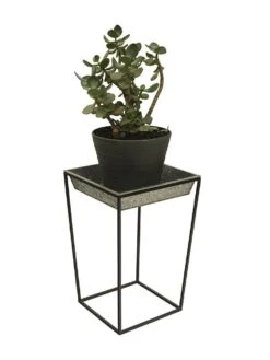 Achla Designs Arne Plant Stand -US Organic Seed Sales Store 8612899 03v