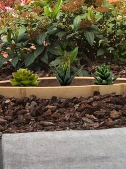 US Organic Seed Sales Store -US Organic Seed Sales Store 8613034 01v wine barrel succulent planter